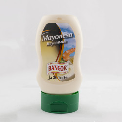 MAYONESA CASERA BOCA ABAJO 10/300ml